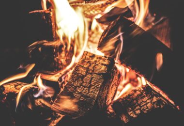 focus photography of a ignited firewood